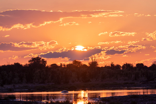 Taken in the Okavango Delta, Botswana