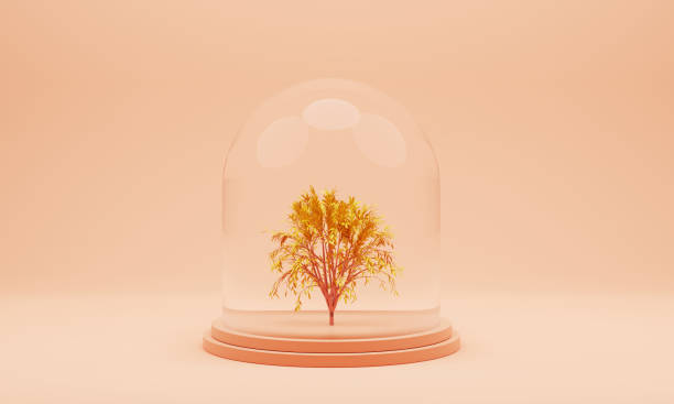 istock Golden tree in a glass jar 1403237525