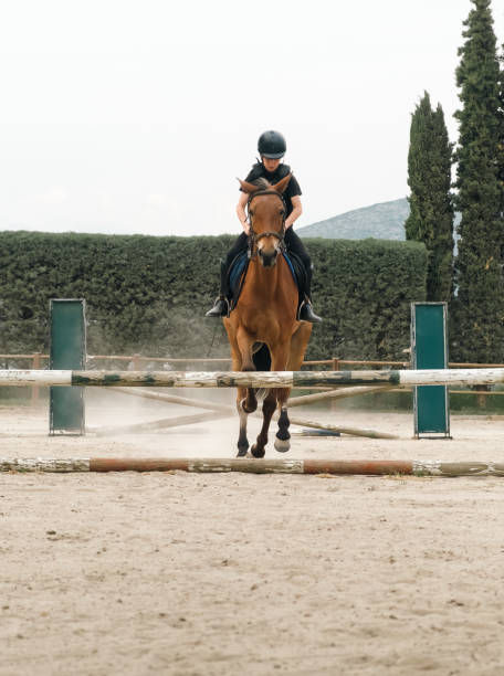 istock Kid on horse jumping over barrier. 1403238069
