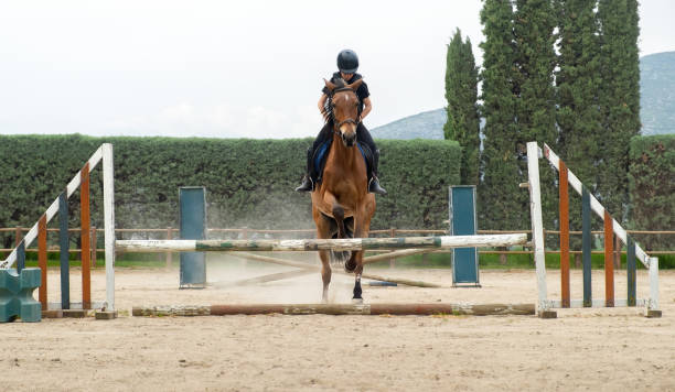 istock Kid on horse jumping over barrier. 1403238072