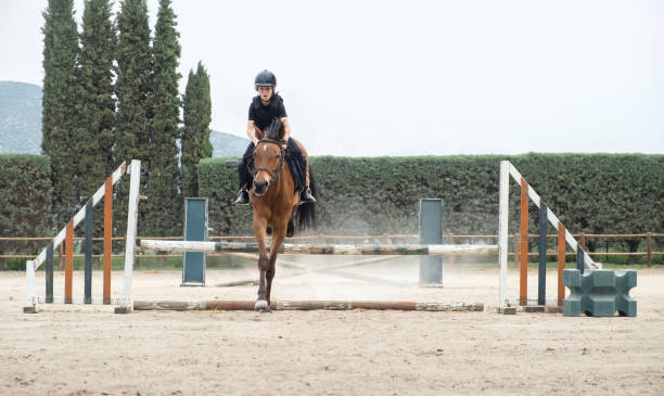 Kid on horse jumping over barrier.