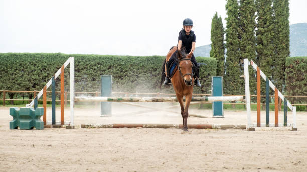istock Kid on horse jumping over barrier. 1403238079