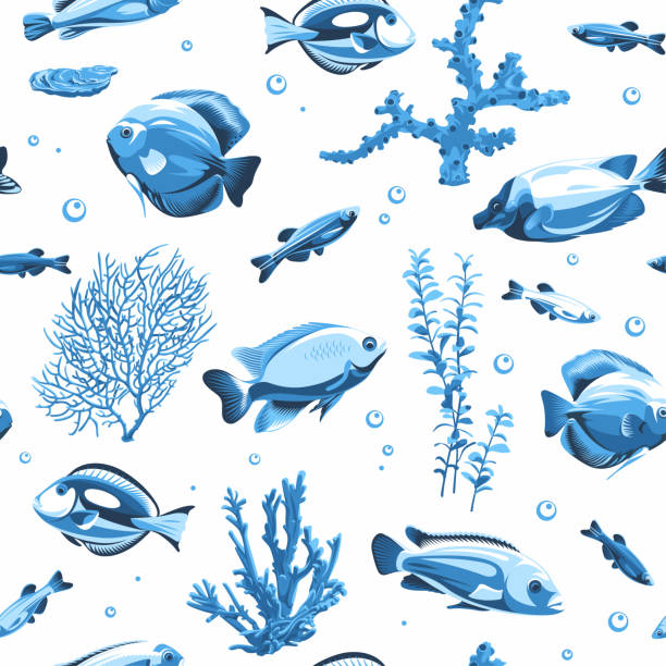 Seamless pattern with fish and seascape isolated on a white background. Illustration of underwater life. Image for your design projects tinfoil barb barbonymus schwanenfeldii stock illustrations