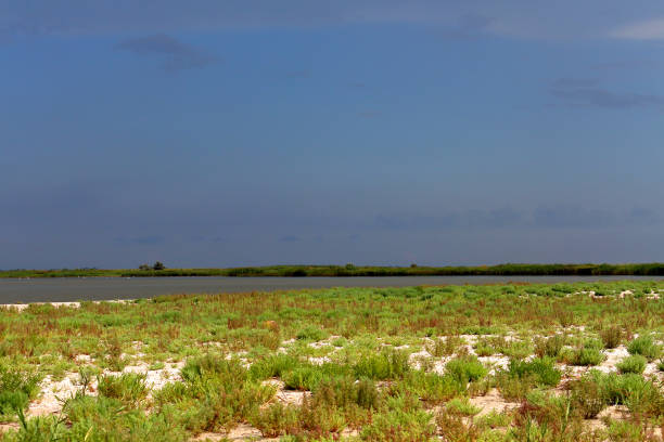 istock Sandy grassy sea shore against gloomy stormy sky 1403243768