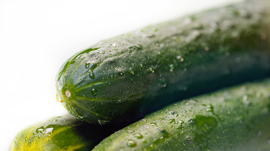 Close-up of wet cucumbers against white background.