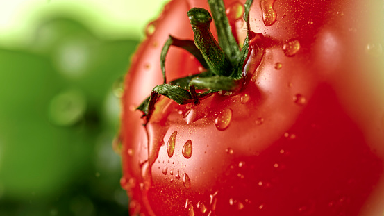 Close-up of fresh cherry tomato with water drops.