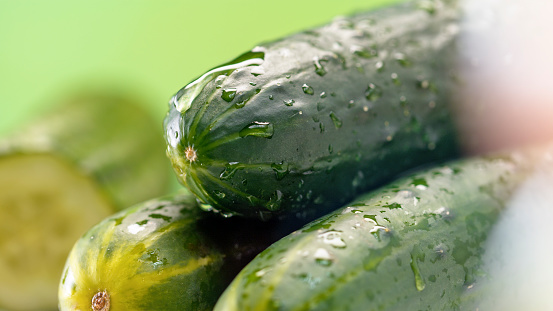 Close-up of wet cucumbers against green background.
