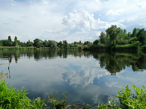 The sky is beautifully reflected in the lake. Clouds are reflected in the river. Green reeds grow along the river. Green planet