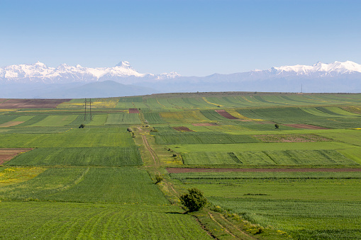 Endless expanses of agricultural land. Mountain range with snowy peaks.  The country road goes to the horizon. Landscape panorama.
