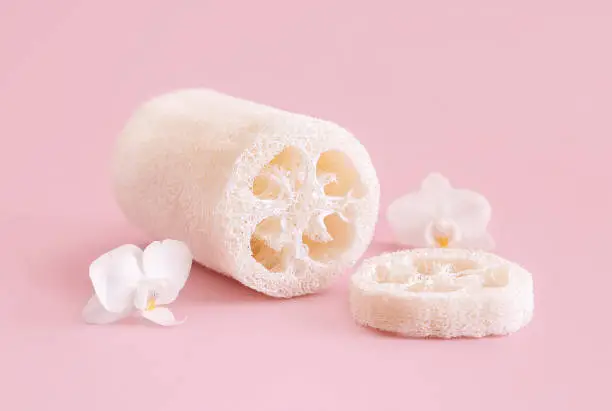 Loofah sponge near white orchid flowers on light pink, close up, mockup. Skincare beauty product, cream or lotion. Exotic natural cosmetics, pastel minimal composition