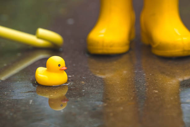 istock A small child in yellow rubber boots is standing in a puddle and playing with yellow rubber ducks. Legs close-up. A picture of summer and autumn holidays. A child in the rain. 1403256664