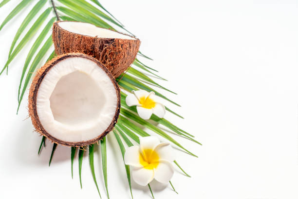 istock Composition with coconuts and green tropical leaves on white background. Spa concept 1403256775