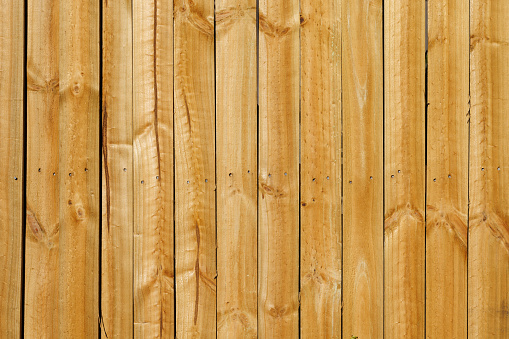 Natural wood grain showing in a timber fence.