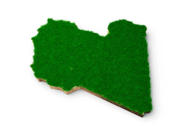 Libya Map soil land geology cross section with green grass and Rock ground texture 3d illustration