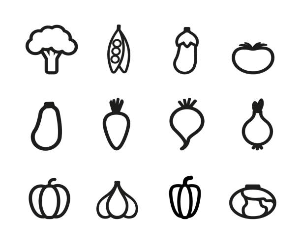 ilustraciones, imágenes clip art, dibujos animados e iconos de stock de verduras- conjunto de iconos de contorno. - beet common beet isolated red