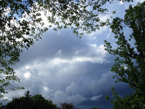 storm clouds in sky over trees