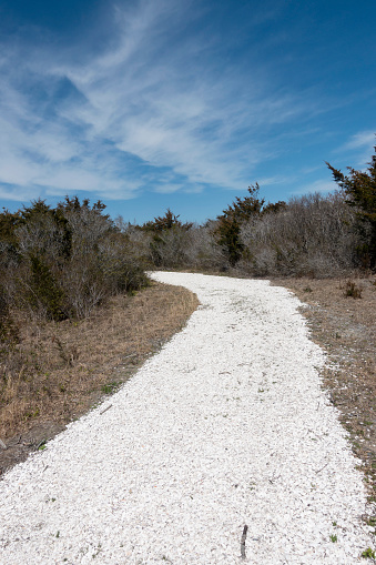Sandy trail at Cape May National Wildlife Refuge, New Jersey, USA