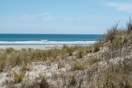 Beach view at Cape May National Wildlife Refuge, New Jersey, USA