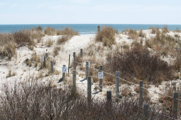 Sand dunes at Cape May National Wildlife Refuge, New Jersey, USA