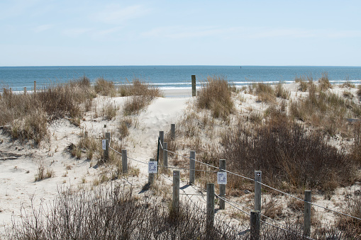 Sand dunes at Cape May National Wildlife Refuge, New Jersey, USA