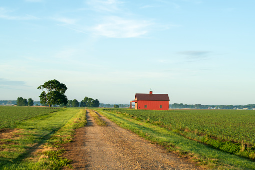 Barn and Feild at Sunrise with Puffy Clouds.