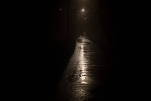 istock Light at night in park. Light on wet road in dark. It's scary park. 1403261098