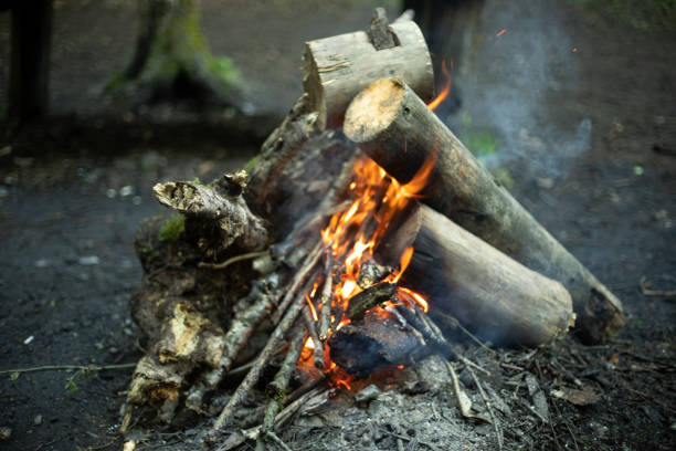 Bonfire in woods. Burning of dry branches. Burning wood.