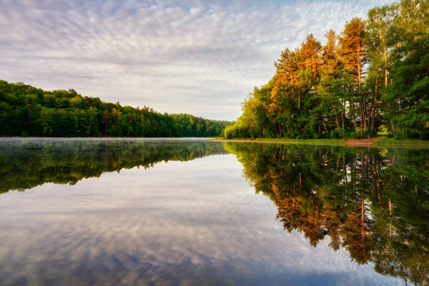 istock A quiet lake with morning mist, forested shores, Poland 1403262869