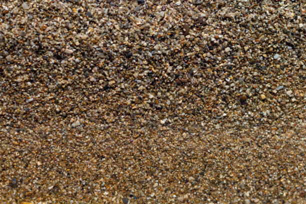 istock sea stone texture with many seashells. beautiful textured background. 1403263582