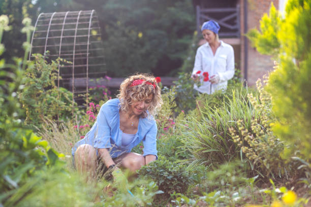 istock Woman working in the garden 1403264780