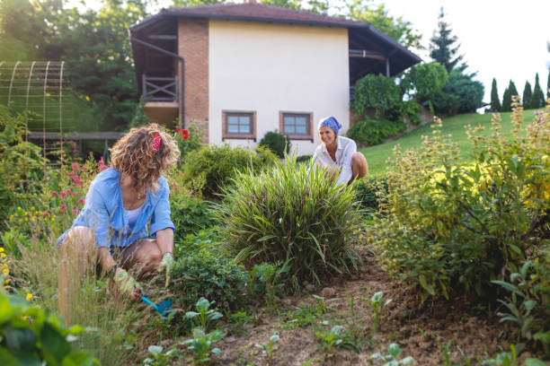 istock Woman working in the garden 1403264803