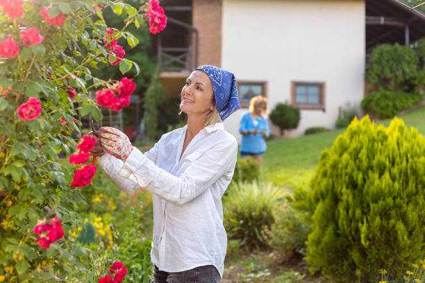istock Woman working in the garden. 1403264853