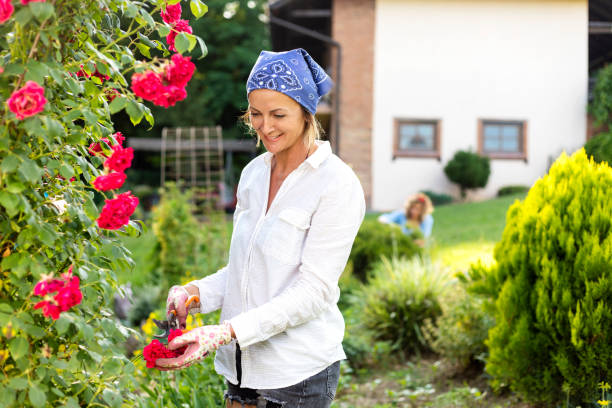 istock Woman working in the garden. 1403264855