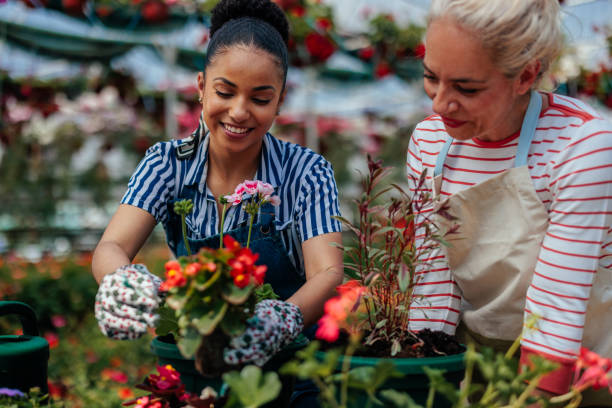 istock Florist coworkers planting together 1403265108