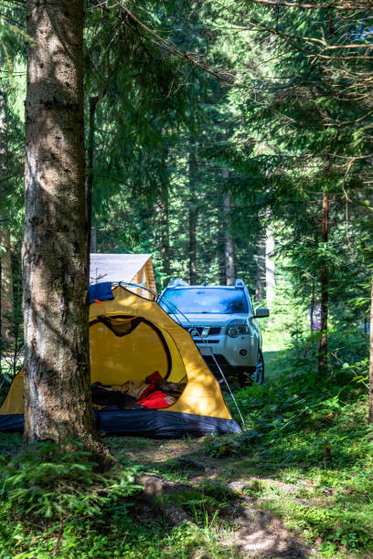 istock yellow tent with suv car in forest 1403265146