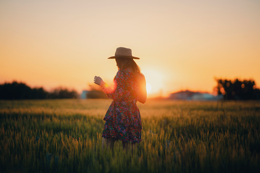 young woman posing in a crop field at sunset