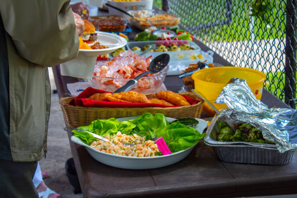 Summer picnic food laid out