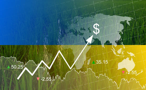 istock Global food crisis. 1403279879