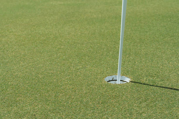 istock Flagstick and hole on putting green on golf course 1403284534