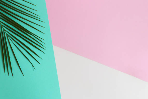 istock Palm leaf on a pink, turquoise and beige texture with copy space. Top view. Minimalism, summer flat lay 1403286505