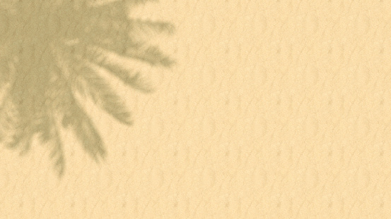 Beach and palm tree shadow summer holiday travel background, 3d render.