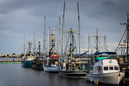 Commercial Fishboats Moored at Comox Harbour