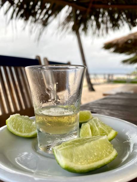 istock Brazilian food and drinks on the beach 1403295237