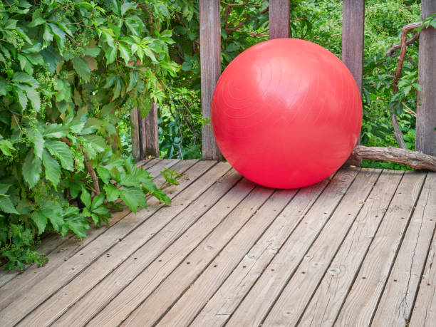 istock Swiss exercise ball in a backyard patio 1403299069