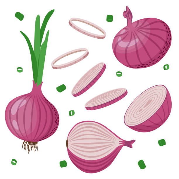 набор красного лука - onion stock illustrations