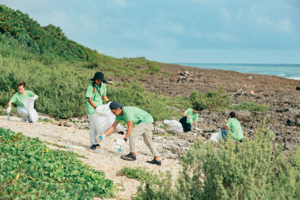 istock Community Volunteer Groups on the Beach 1403303265