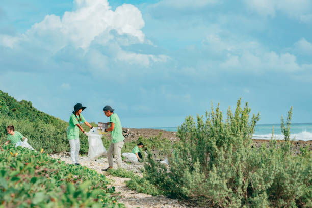 istock Community Volunteer Groups on the Beach 1403303279