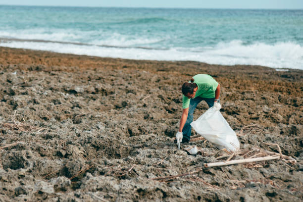 istock Community Volunteer Groups on the Beach 1403303319