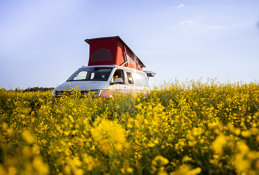 agricultural canola field with lots of yellow flowers,van parked next to it with red colored extended roof second floor bedroom area,van life