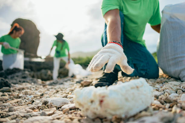 istock Community Volunteer Groups on the Beach 1403303581